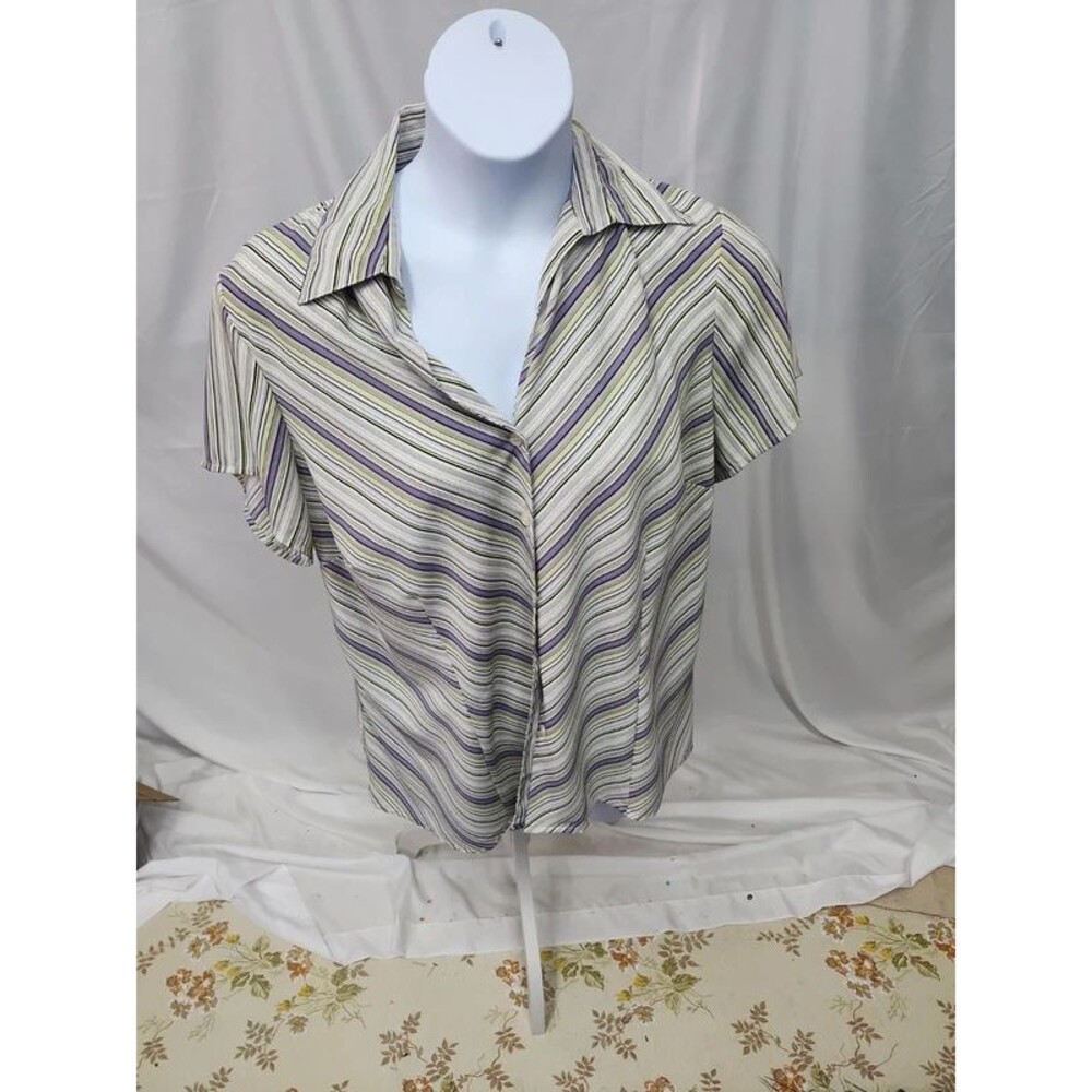 Fred David striped business casual blouse  earth tones 2X